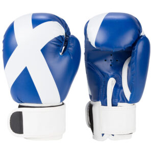 Boxing Gloves